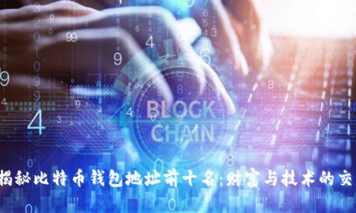  揭秘比特币钱包地址前十名：财富与技术的交汇