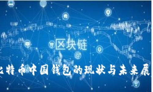 比特币中国钱包的现状与未来展望