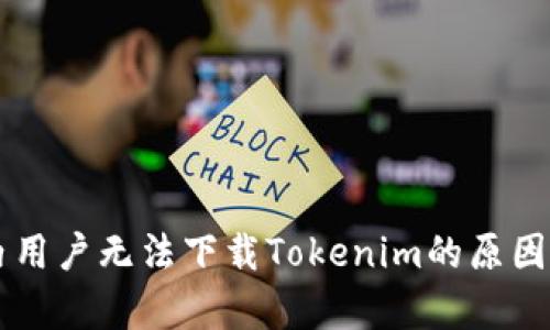 国内用户无法下载Tokenim的原因分析