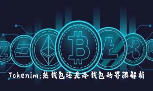 Tokenim：热钱包还是冷钱包的界限解析