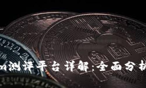 Tokenim测评平台详解：全面分析与评价