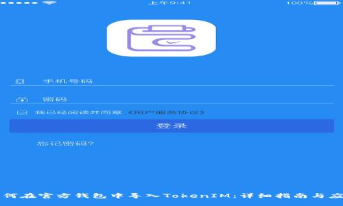 如何在官方钱包中导入TokenIM：详细指南与应用