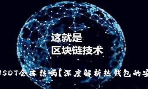 : 热钱包的USDT会冻结吗？深度解析热钱包的安全性与风险