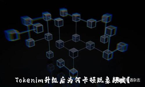   
Tokenim升级后为何卡顿现象频发？