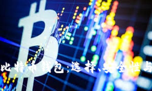 全面解读比特币钱包：选择、安全性与使用指南