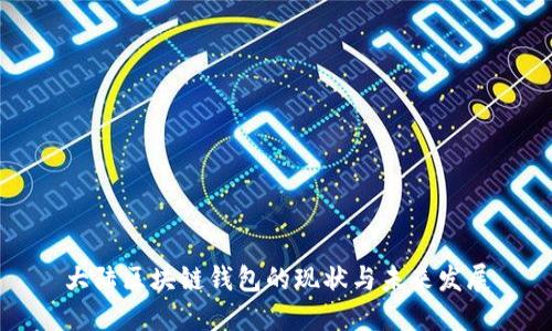 大陆区块链钱包的现状与未来发展