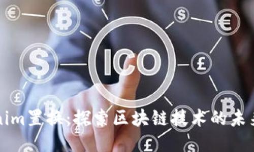 Tokenim置换：探索区块链技术的未来潜力