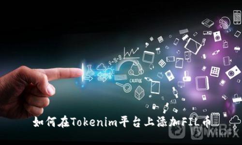 如何在Tokenim平台上添加FIL币