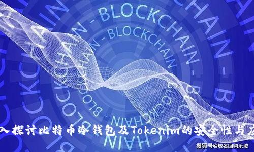 深入探讨比特币冷钱包及Tokenim的安全性与应用