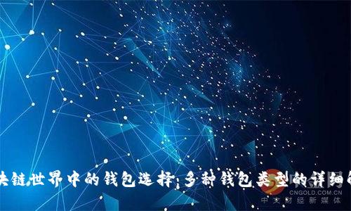 区块链世界中的钱包选择：多种钱包类型的详细解析