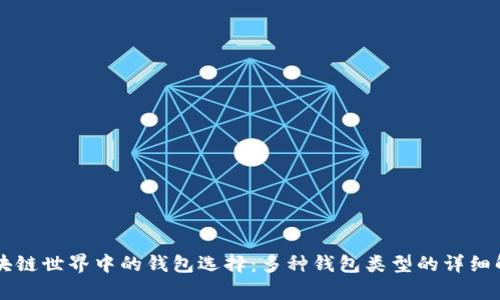 区块链世界中的钱包选择：多种钱包类型的详细解析