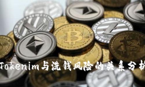 Tokenim与洗钱风险的关系分析