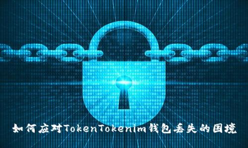 如何应对TokenTokenim钱包丢失的困境