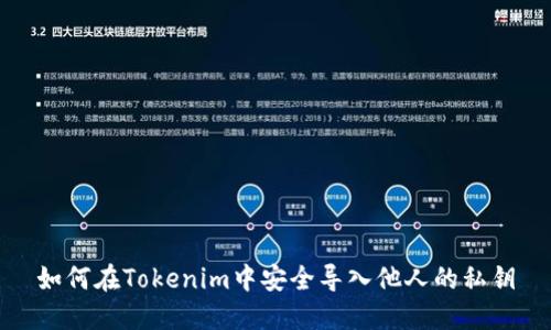 如何在Tokenim中安全导入他人的私钥