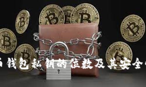 比特币钱包私钥的位数及其安全性分析