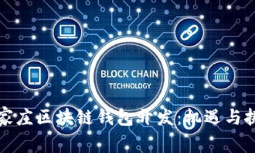 石家庄区块链钱包开发：机遇与挑战