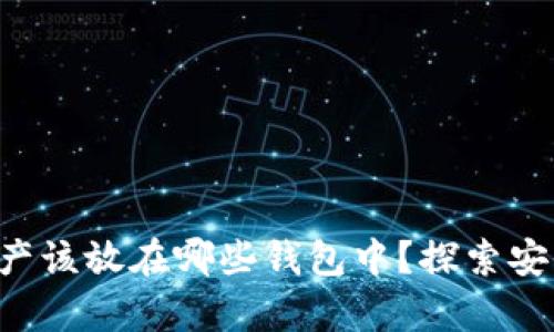 区块链U资产该放在哪些钱包中？探索安全存储选择