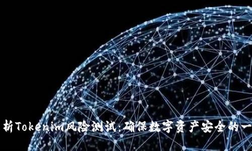 全面解析Tokenim风险测试：确保数字资产安全的一把利器