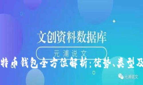 中国比特币钱包全方位解析：优势、类型及安全性