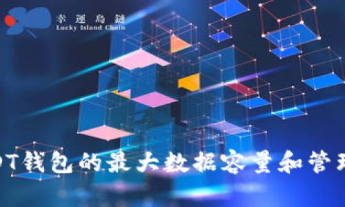 : USDT钱包的最大数据容量和管理策略