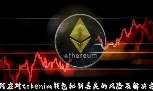 
如何应对tokenim钱包秘钥丢失的风险及解决方案