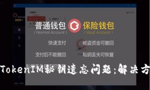 如何处理TokenIM秘钥遗忘问题：解决方案与建议