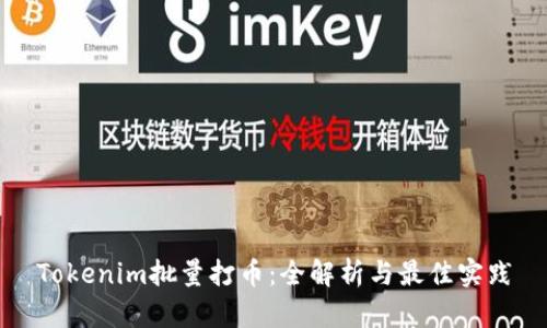 Tokenim批量打币：全解析与最佳实践