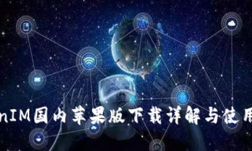 TokenIM国内苹果版下载详解与使用指南