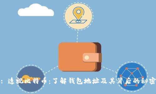 : 透视比特币：了解钱包地址及其背后的秘密