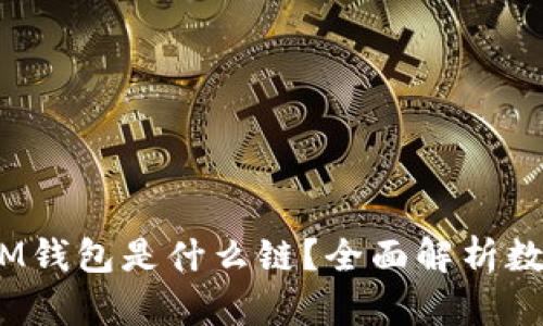 TokenTokenIM钱包是什么链？全面解析数字钱包的未来