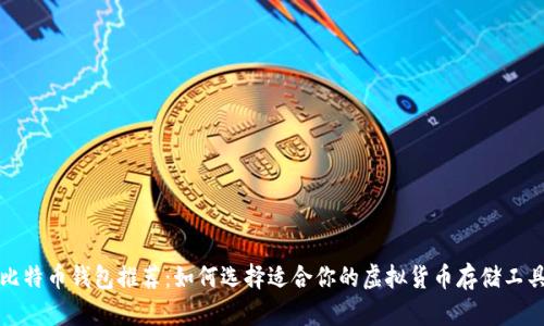 比特币钱包推荐：如何选择适合你的虚拟货币存储工具