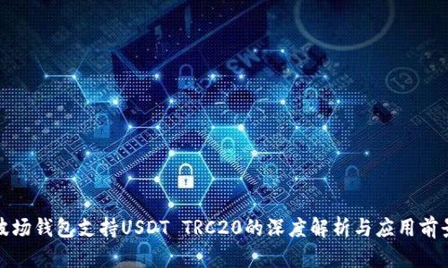 波场钱包支持USDT TRC20的深度解析与应用前景