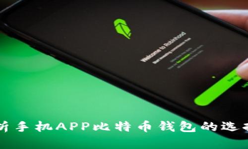 全面解析手机APP比特币钱包的选择与使用