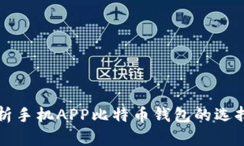 全面解析手机APP比特币钱包的选择与使用