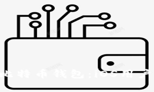 探索ZhiHu比特币钱包：iOS用户的最佳选择
