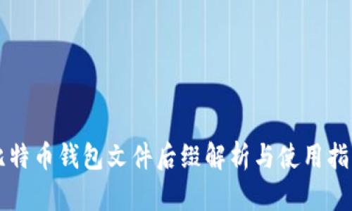 比特币钱包文件后缀解析与使用指南