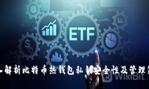 深入解析比特币热钱包私钥安全性及管理策略