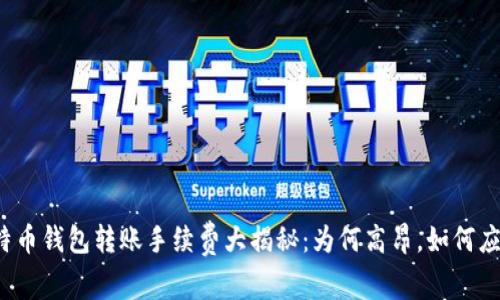 比特币钱包转账手续费大揭秘：为何高昂，如何应对？