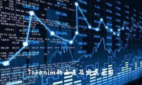 Tokenim的由来及发展历程