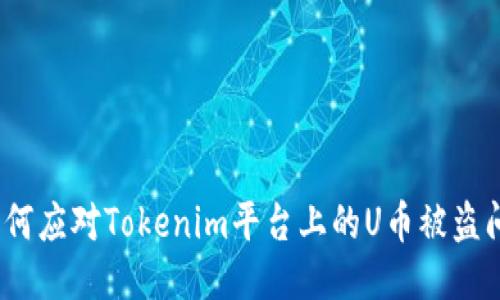 : 如何应对Tokenim平台上的U币被盗问题?