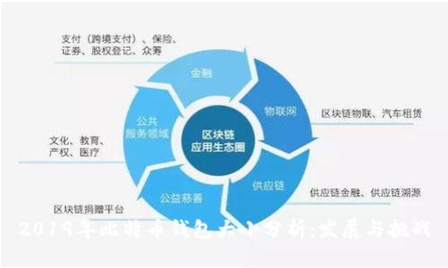 2019年比特币钱包大小分析：发展与挑战