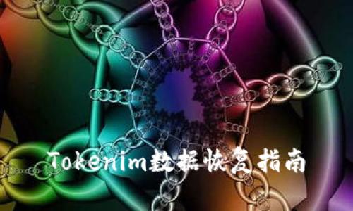 Tokenim数据恢复指南
