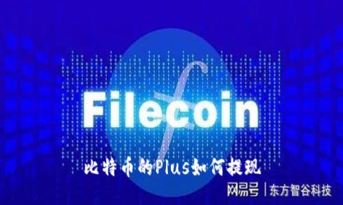 比特币的Plus如何提现